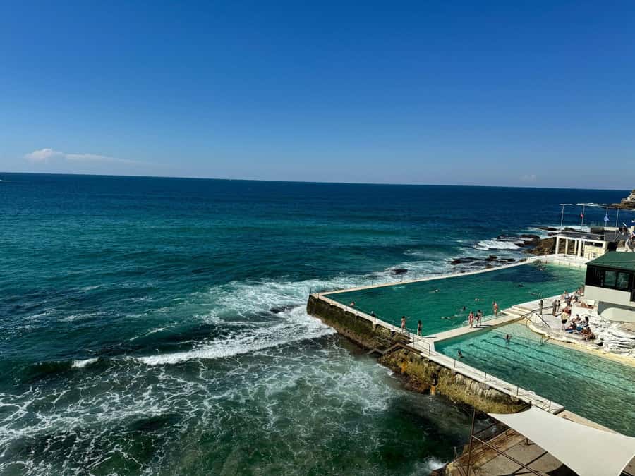 1/2 day Sydney Sightseeing and Bondi Beach Tour - Paddington, Centennial Park, and Rose Bay: seeing Sydney with a breather