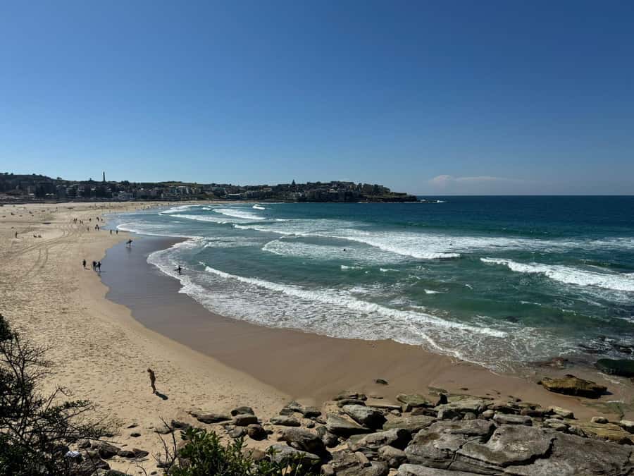 1/2 day Sydney Sightseeing and Bondi Beach Tour - Bondi Beach for up to 1 hour: make it your slow moment