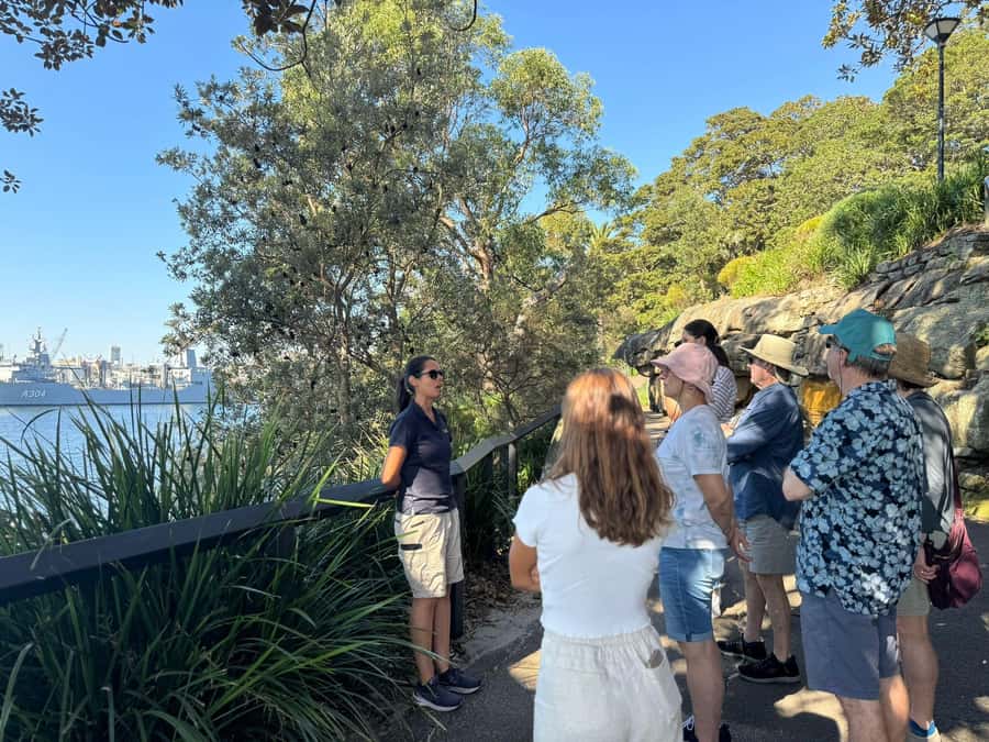1/2 day Sydney Sightseeing and Bondi Beach Tour - Should you book this Sydney & Bondi half-day tour?