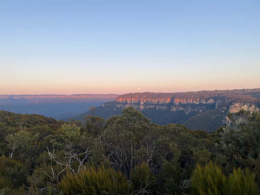 #1 Blue Mountains Tour Scenic World Waterfalls Wildlife Park - Transport, timing, and the return to Sydney by 4:00–4:30