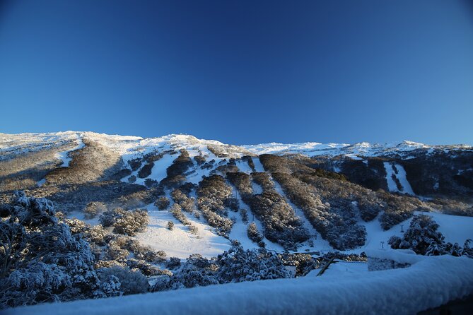 1 Day Thredbo Snow Tour - Lift passes, lessons, and gear hire: how to avoid cost surprises