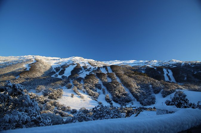 1 Day Thredbo Snow Tour - Who should book this Thredbo Snow Tour?