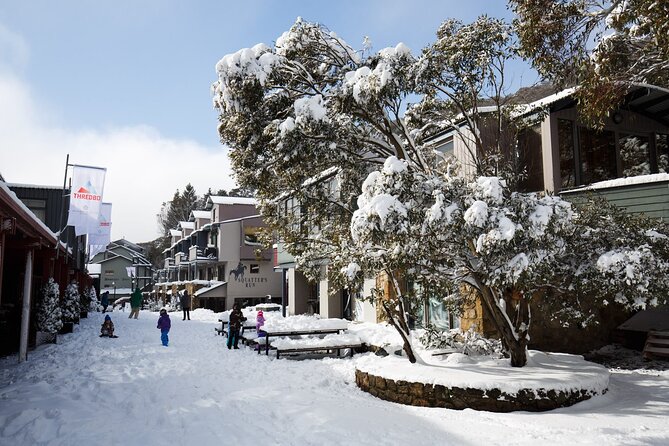 1 Day Thredbo Snow Tour From Sydney - What’s actually included (and what you’ll pay for later)