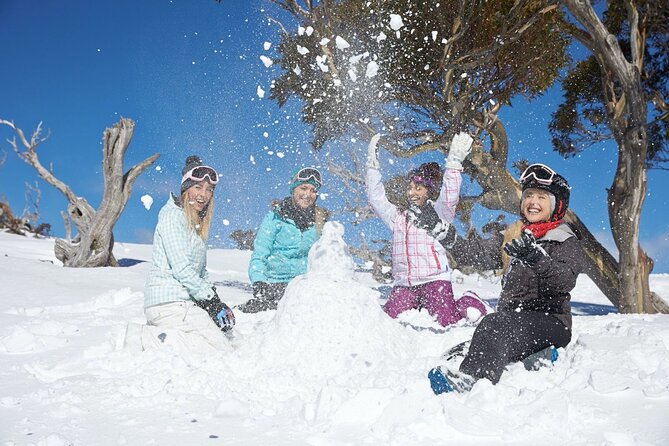 1 Day Thredbo Snow Tour From Sydney - Who this tour suits best (and who should think twice)