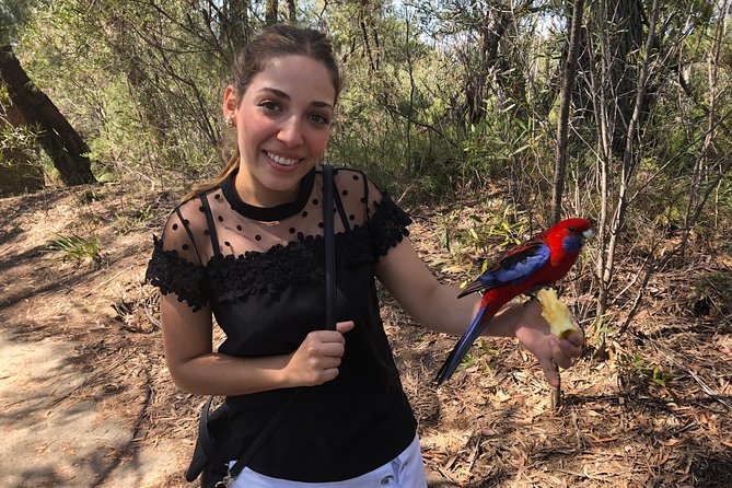 #1 Private Blue Mountains Tour by authentic story telling locals - Featherdale Wildlife Park: Koalas, Kangaroos, and Crocodiles