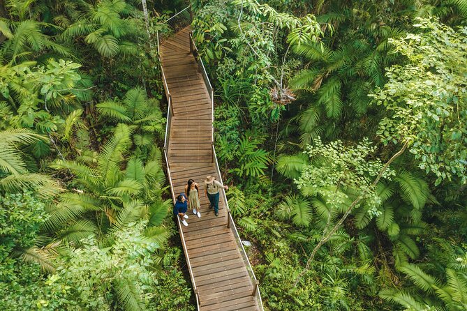 14 Day Tour from Sydney to Cairns Fraser Island and Whitsundays - Whitsundays speedboat to Whitehaven and snorkeling day