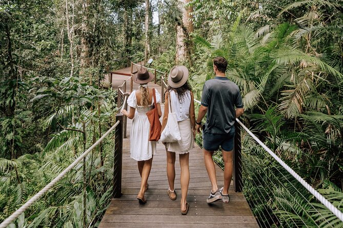 14 Day Tour from Sydney to Cairns Fraser Island and Whitsundays - Koala Conservation at Port Macquarie and why it matters
