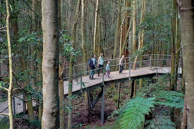 3 Day Private Tour in Blue Mountains and Kiama in Sydney City - Day 2 in the Blue Mountains: Three Sisters, Scenic World, Wentworth Falls, Featherdale