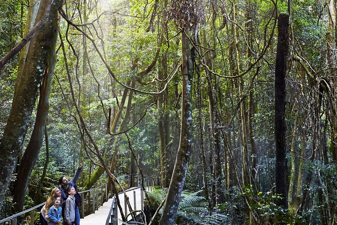 3 Day Private Tour in Blue Mountains and Kiama in Sydney City - Private pickup, vehicle comfort, and how the logistics feel