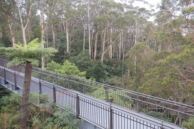 3 Day Scenic Tour of Blue Mountains from Sydney - Guide style and pacing: why small numbers feel like an upgrade