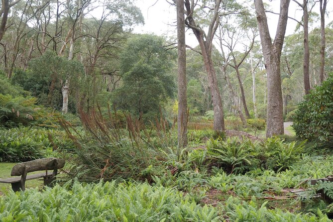 3 Day Scenic Tour of Blue Mountains from Sydney - Who this tour suits best (and who might want a different plan)
