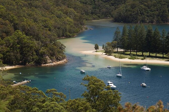 3-Hour Private Skippered Sailing Yacht Charter in Palm Beach - Portuguese Beach: the kind of swim that feels uncrowded