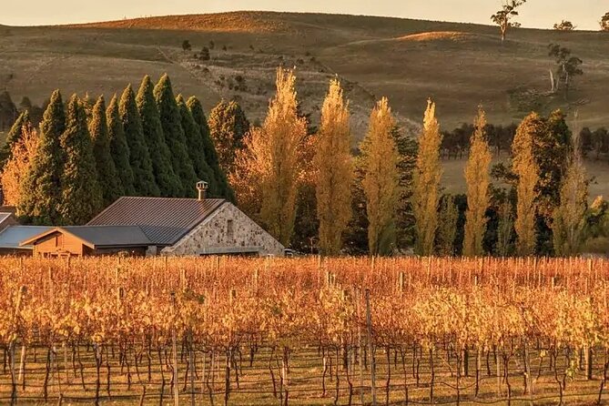 A Day In The Vineyards || Luxury Private Winery Tour From Sydney - A luxury Southern Highlands day from Sydney, without the driving headache