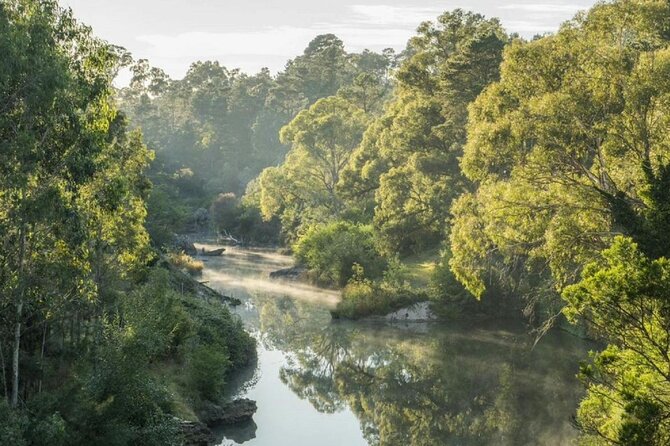 A Day In The Vineyards || Luxury Private Winery Tour From Sydney - Price and logistics: is $411.52 per person good value?