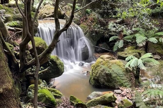 Adventurous Blue Mountains hike up the iconic Three Sisters - Start at Central Station, then ride into the mountains