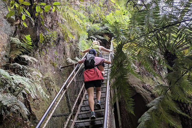 Adventurous Blue Mountains hike up the iconic Three Sisters - Finish in Leura: a small village break while you wait for the train