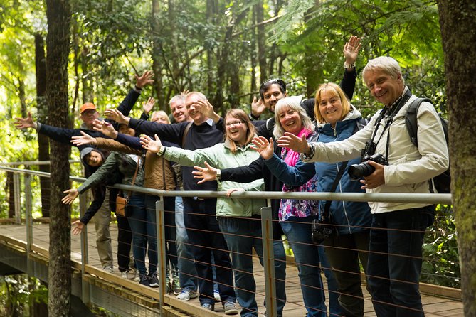 All Inclusive Blue Mountain,Scenic World,Lunch,Koalas,ferry - From Circular Quay to the Three Sisters: the day’s best first impression
