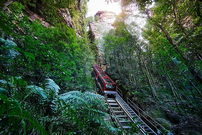All Inclusive Blue Mountain,Scenic World,Lunch,Koalas,ferry - How long it really takes, and why the pacing feels fair