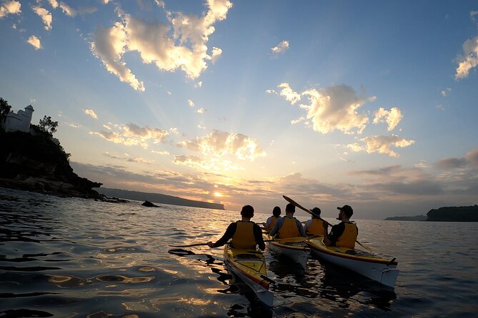 Beautiful Middle Harbour Sunriser / Guided Kayaking Private Tour - Kayaks that make the first strokes feel good