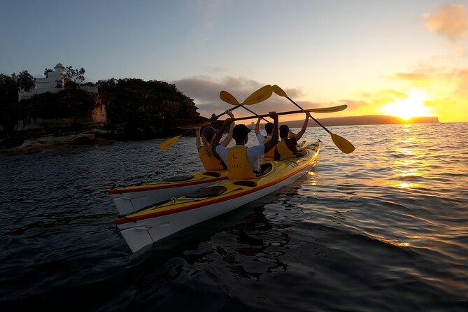 Beautiful Middle Harbour Sunriser / Guided Kayaking Private Tour - The private setup: who it’s for and how it runs