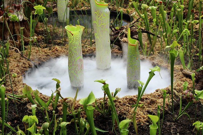 Bespoke Private Tour of Sydney - Paddington Reservoir Gardens: Historic Water Storage Under Your Feet