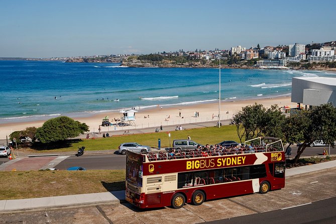 Big Bus Sydney and Bondi Hop-on Hop-off Tour - The two-route setup: how you should plan your hop-on day