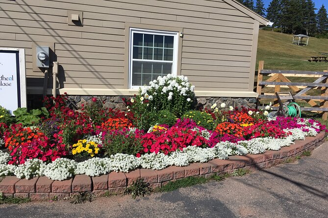 Blackwood Tours: Highland Village, Baddeck, Bell Museum Tour - Little Narrows cable ferry: a five-minute ride that resets the day