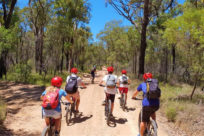 Blue Labyrinth PRIVATE Tour: Sydney Blue Mountains by E-Bike - What you’ll ride in 4 hours (and why it matters)