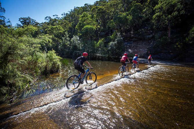 Blue Labyrinth PRIVATE Tour: Sydney Blue Mountains by E-Bike - Price and value: is $268.97 worth it?