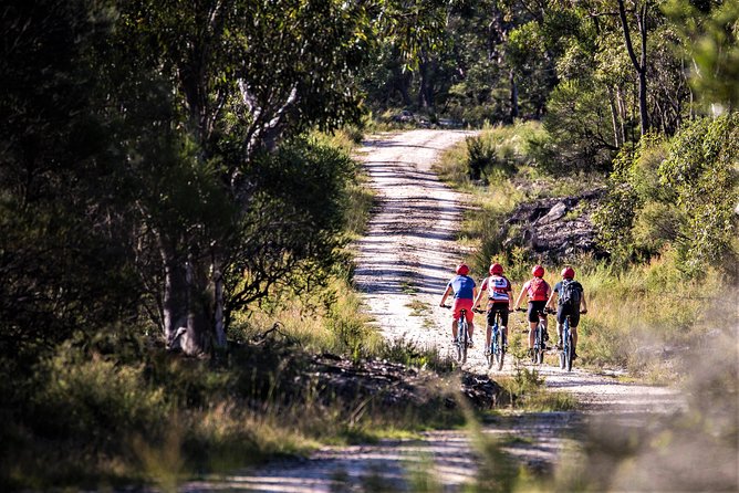 Blue Labyrinth PRIVATE Tour: Sydney Blue Mountains by E-Bike - Practical tips before you go