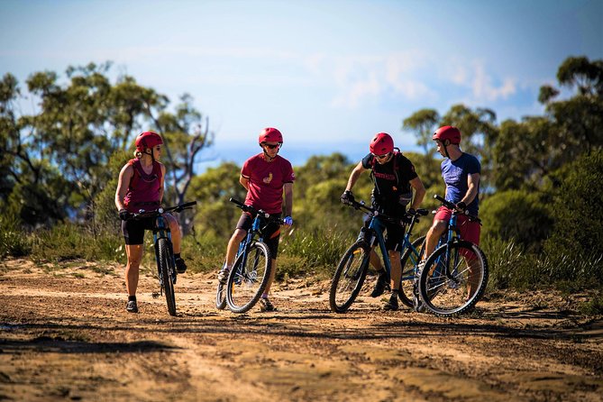 Blue Labyrinth PRIVATE Tour: Sydney Blue Mountains by E-Bike - The e-bike setup: speed with control on dirt