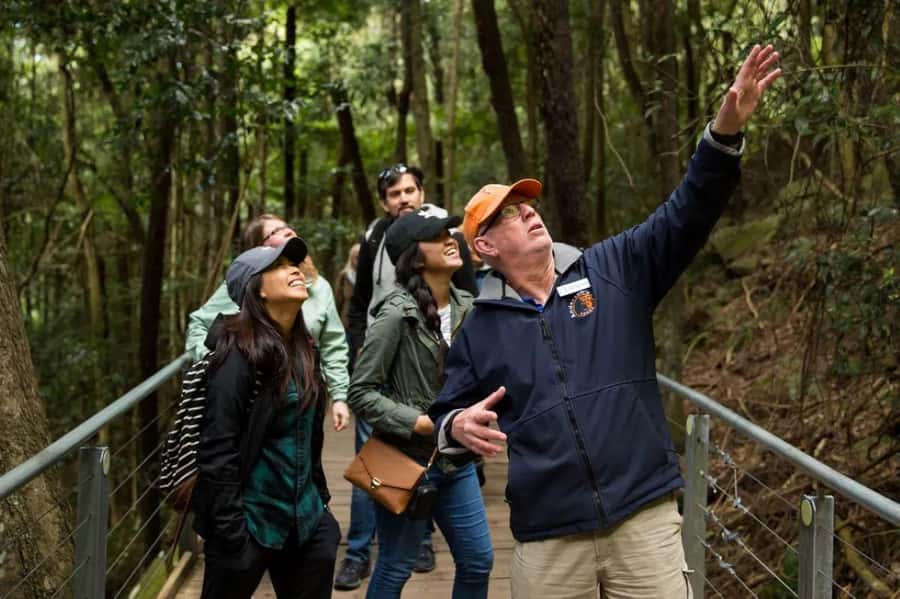 Blue Mountain Small Group Scenic World, Wildlife, Waterfall - Katoomba Scenic World rides: Skyway, Railway, Cableway, and a rainforest walk