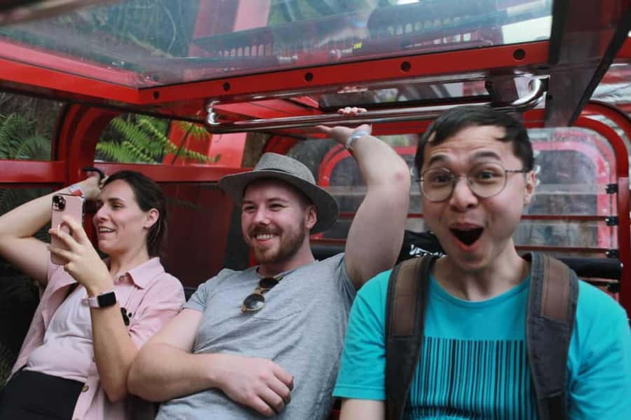 Blue Mountain Tour + Hop-on-Hop-off Big Bus Discover Ticket - Key Things I’d Pin Down Before You Go
