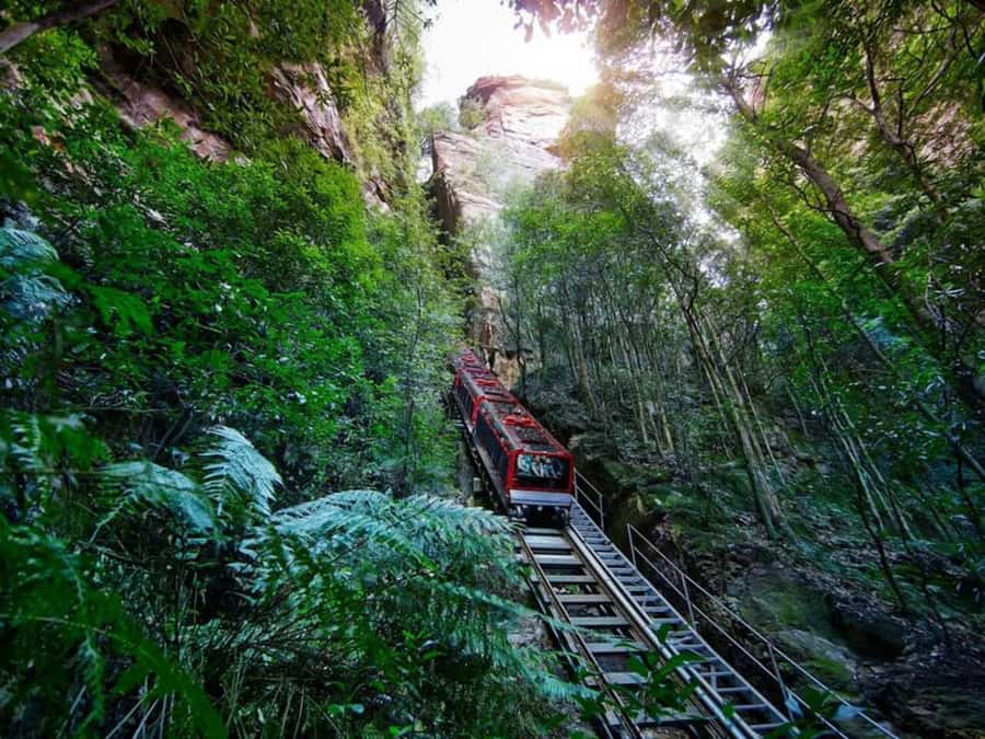 Blue Mountain Tour + Hop-on-Hop-off Big Bus Discover Ticket - A Day That Blends Mountains, Animals, and a Second-Day City Plan