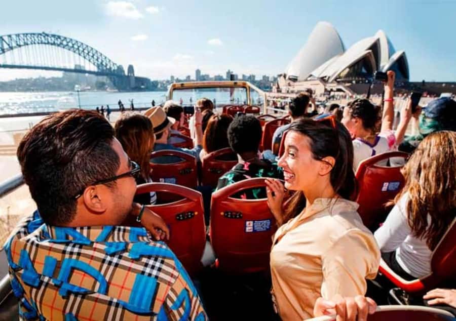 Blue Mountain Tour + Hop-on-Hop-off Big Bus Discover Ticket - Pickup Timing and the 10-Hour Reality Check