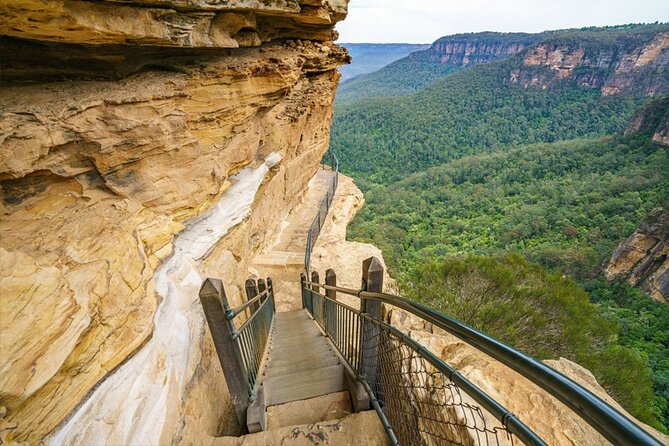 Blue Mountain Tour with Hop on and Hop Off Bus - Leaving Sydney Central at 8am: why the timing works