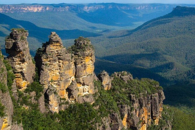 Blue Mountain Tour with Hop on and Hop Off Bus - Sydney Zoo: the easy wildlife win without the planning headache
