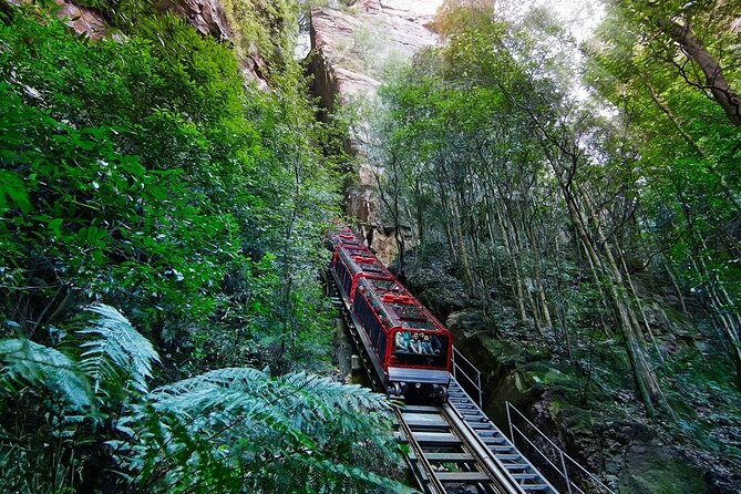 Blue Mountain Tour with Hop on and Hop Off Bus - Price and value: what $170.11 really buys