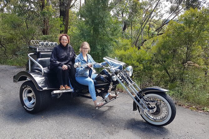Blue Mountains 1-Hour Trike Tour of Three Sisters - Who This Tour Is Best For (and Who Might Want a Different Plan)