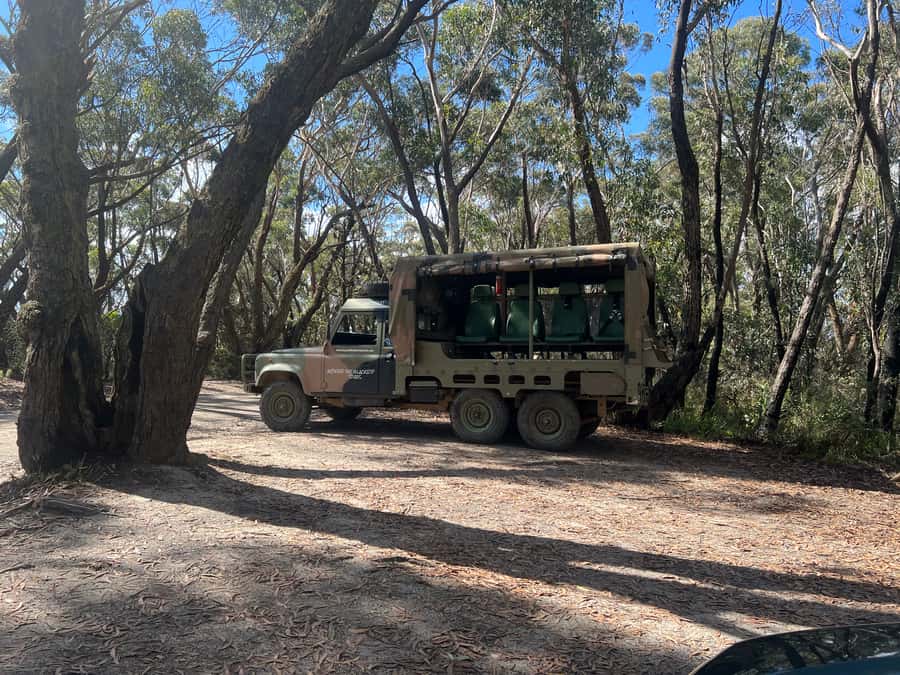 Blue Mountains 3 Hour Army Truck Adventures - Echo Point pickup at The Lookout: starting easy, ending easy
