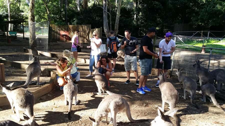 Blue Mountains: Aboriginal Experience Day Tour from Sydney - Key things that make this day tour worth it