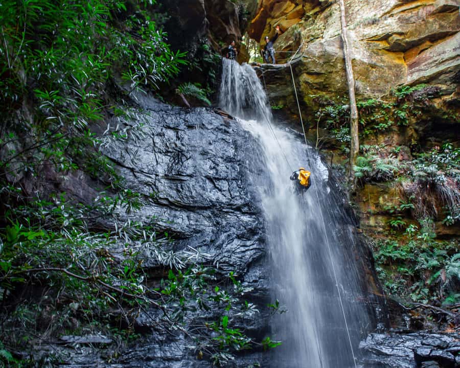 Blue Mountains: Abseiling and Canyoning Experience - Meeting point in Katoomba: where to find High and Wild Mountain Adventures