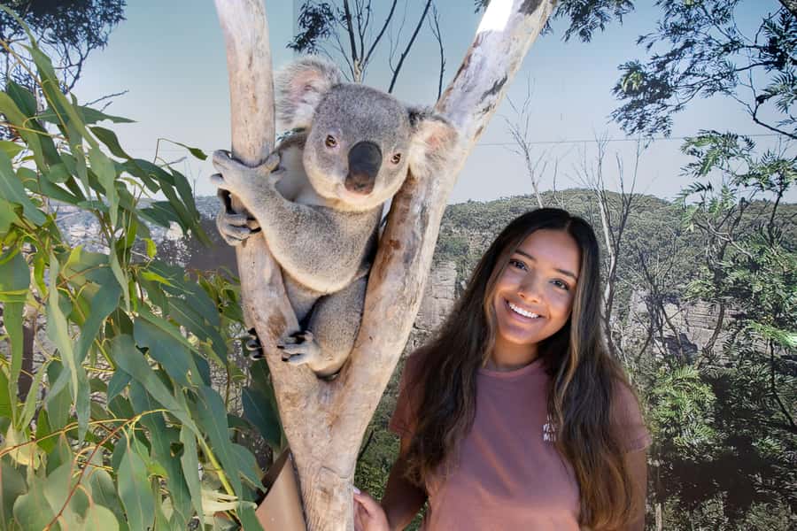 Blue Mountains Adventure: Scenic World, Zoo & Koala Photo - Echo Point and Three Sisters: The View Plus the Story