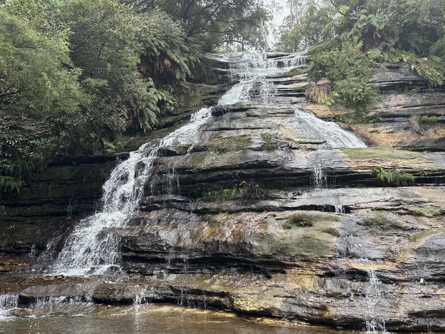 Blue Mountains Adventure: Scenic World, Zoo & Koala Photo - Sydney Zoo: Koalas, Kangaroos, and a Photo You’ll Actually Want