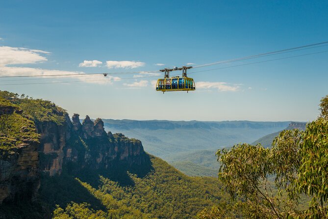Blue Mountains Adventure w Scenic World, Zoo, Koala Photo & Ferry - Scenic World: cable car, train, Skyway, and a guided rainforest walk