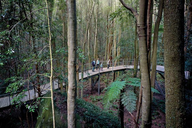 Blue Mountains Adventure w Scenic World, Zoo, Koala Photo & Ferry - Pickup, timing, and how to prepare for a 6:40am start
