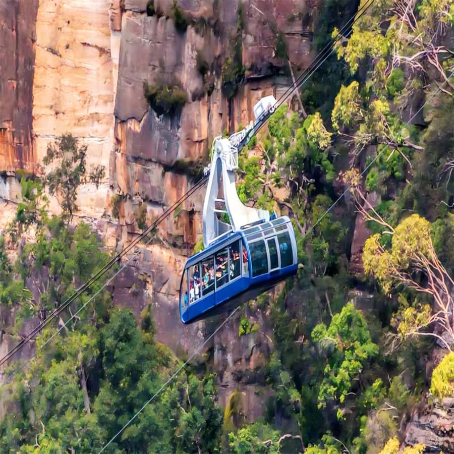 Blue Mountains Adventure: Wild Boar Rock & Cable Car - Why This Blue Mountains Day Feels Worth It