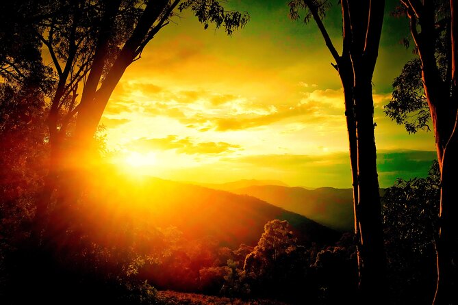 Blue Mountains Day, Sunset Tour & Glow Worms Night Adventure - Key highlights to know before you go