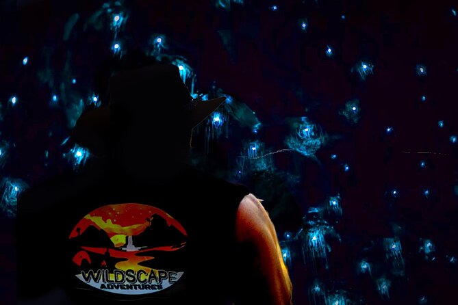 Blue Mountains Day, Sunset Tour & Glow Worms Night Adventure - From Koalas to Glow Worm Caves: How This 3-Part Blue Mountains Day Works