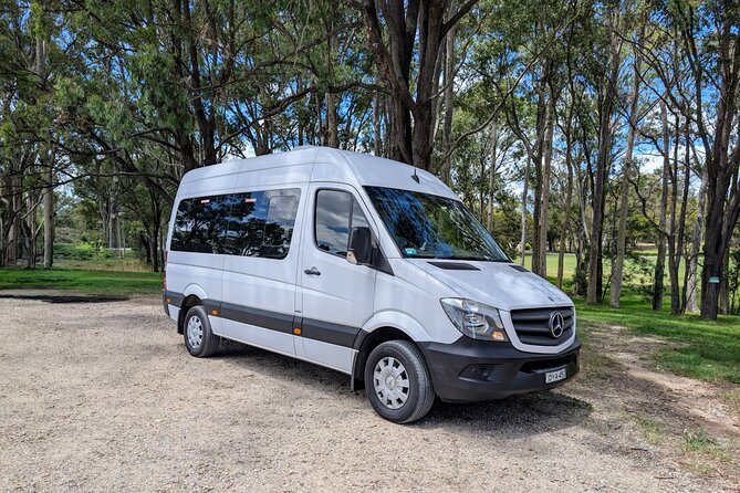 Blue Mountains Day Tour -Scenic World, Koalas & Roos (15 ppl LUX) - Aboriginal rock engraving: a small stop with a big timescale